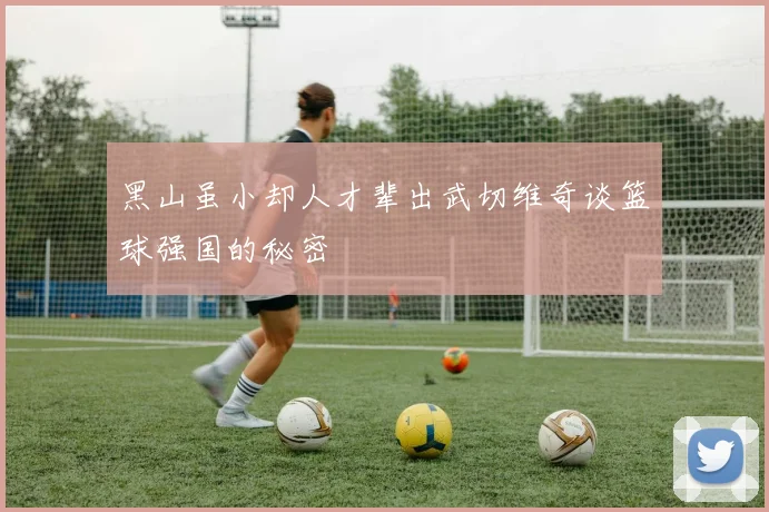 黑山虽小却人才辈出武切维奇谈篮球强国的秘密